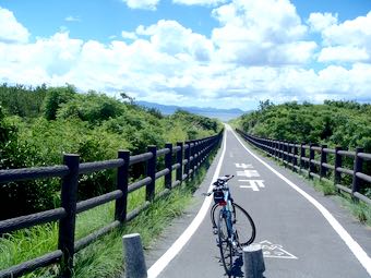 海沿いの爽快な道