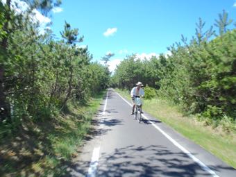 自転車道