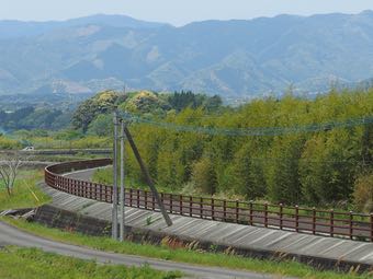 川沿いに伸びる道