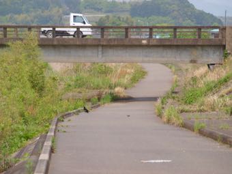 橋の下の道をゆく