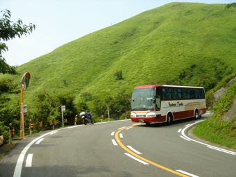 登山道から見える夏草の斜面