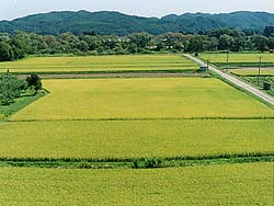 羅須地人教会跡からの風景