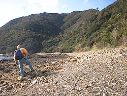 海岸線を歩く作者の後ろ姿