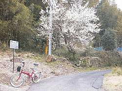 祇園神社の跡らしき場所