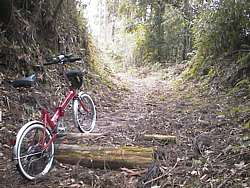 丸太を越える自転車