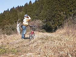 草藪の中、旧街道の痕跡らしき場所